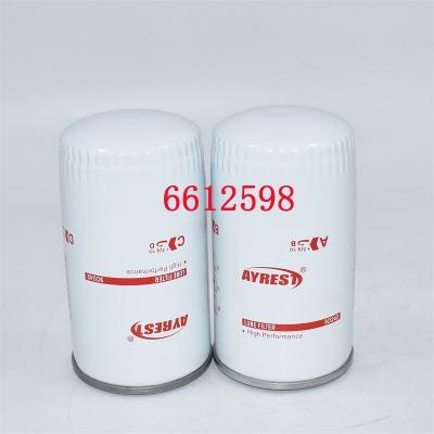 6612598 Oil Filter