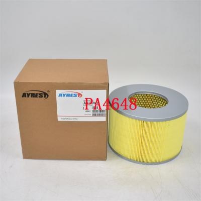 PA4648 Air Filter