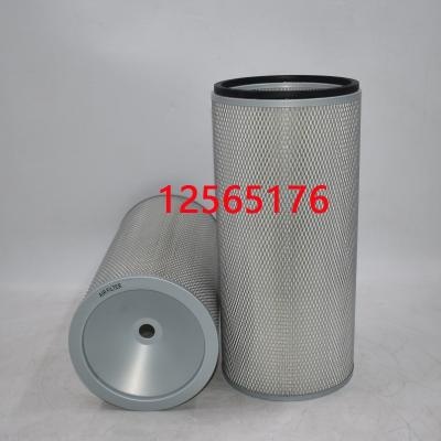 12565176 Air Filter